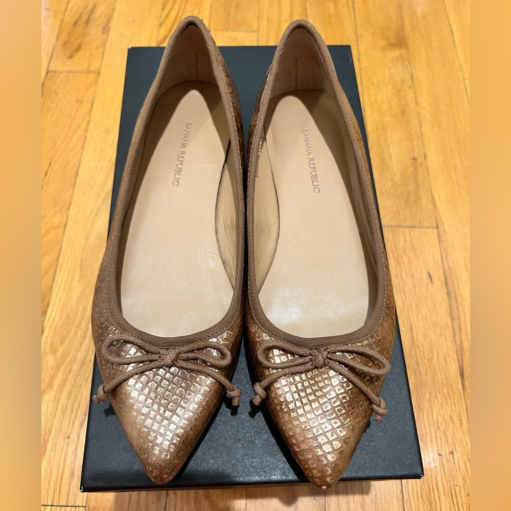 Banana republic pointy toe ballet flat
